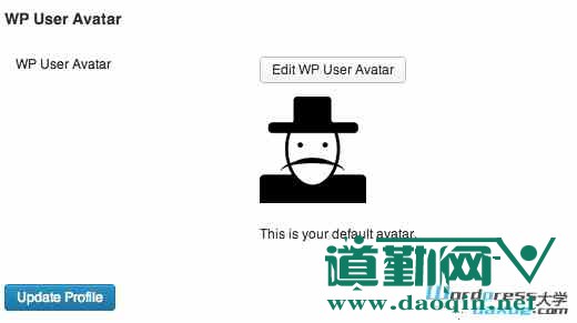 WordPress ԶͷWP User Avatarϸ÷02